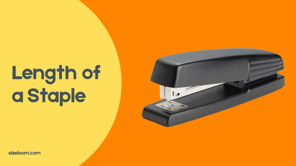 Length of a Staple