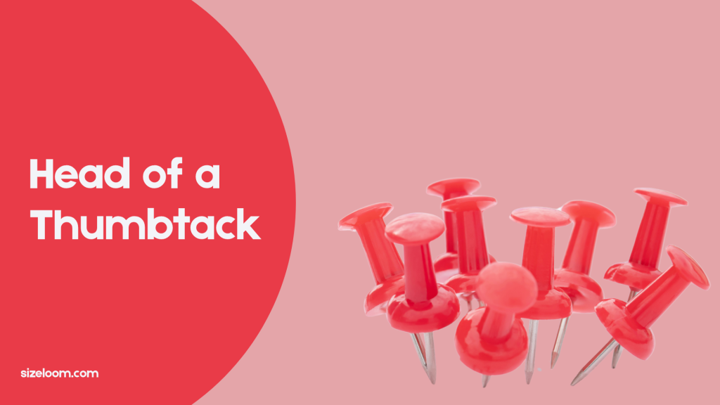 Head of a Thumbtack