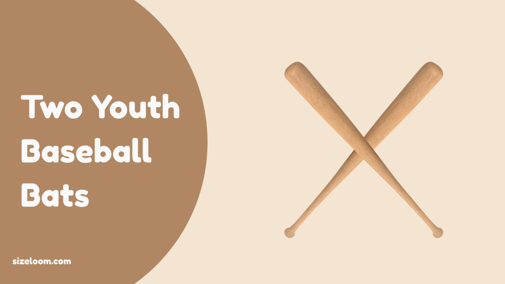 Two Youth Baseball Bats