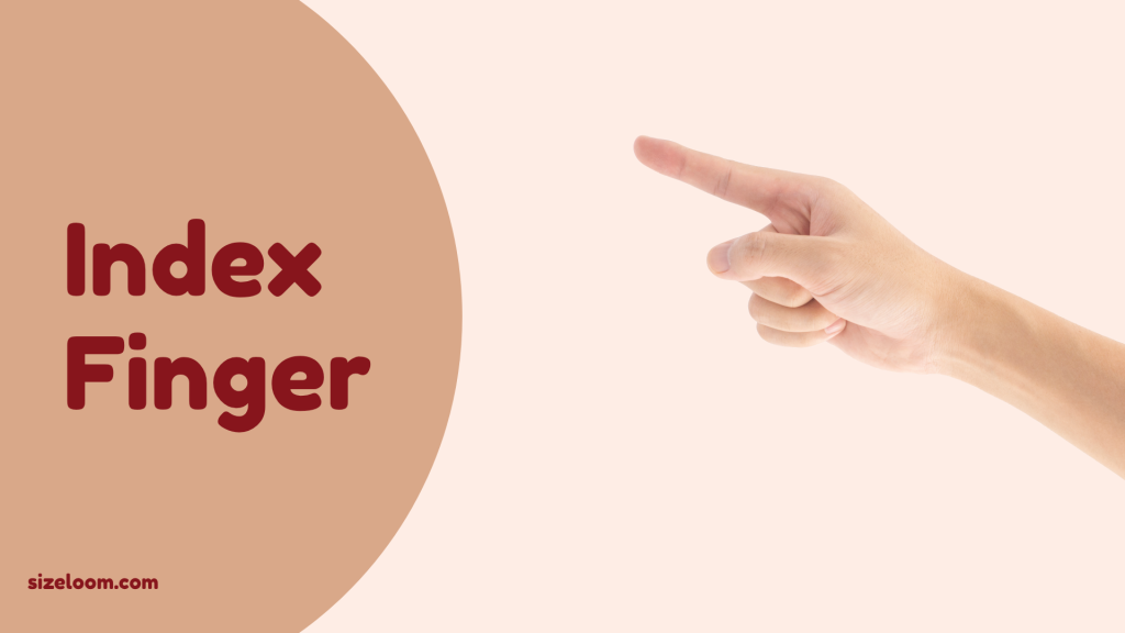 Index Finger