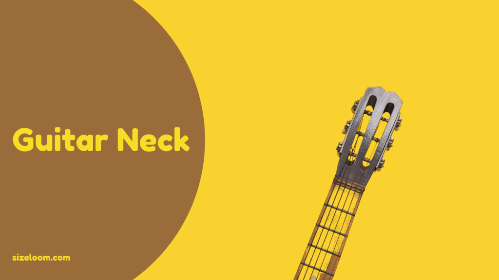 Guitar Neck