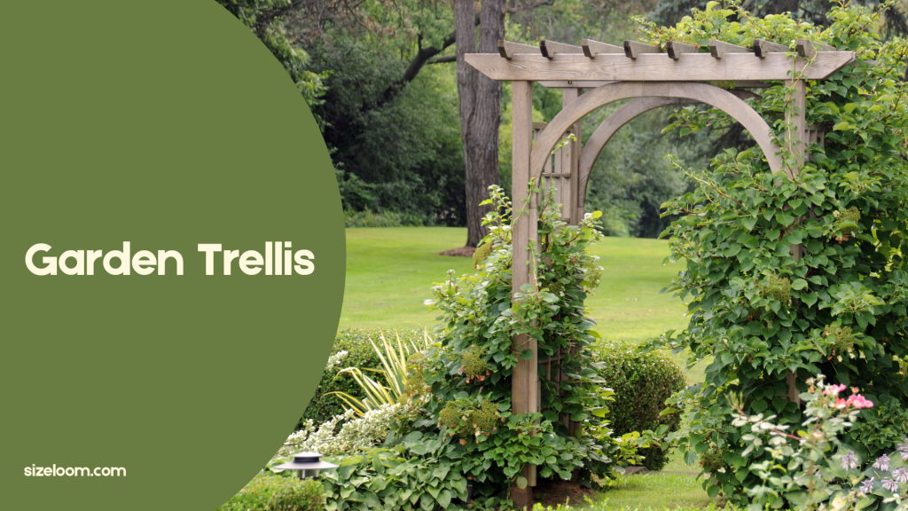 Garden Trellis