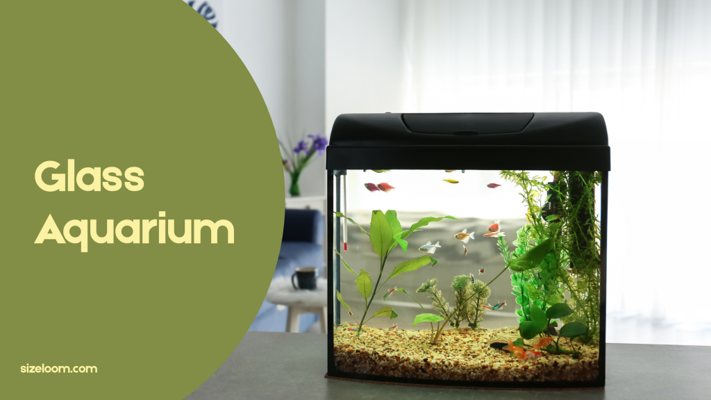 Glass Aquarium