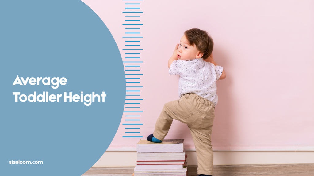 Average Toddler Height