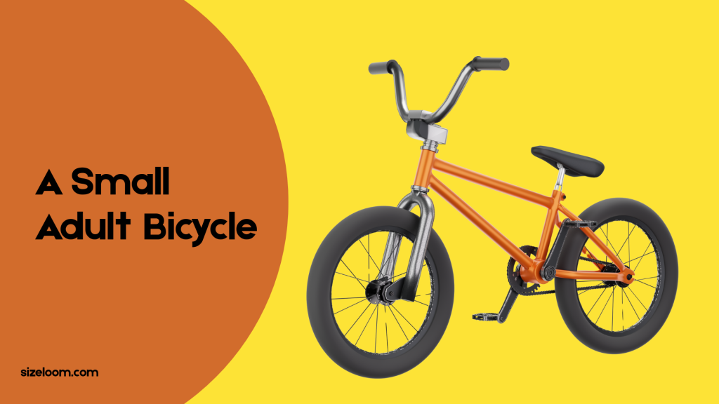 A Small Adult Bicycle