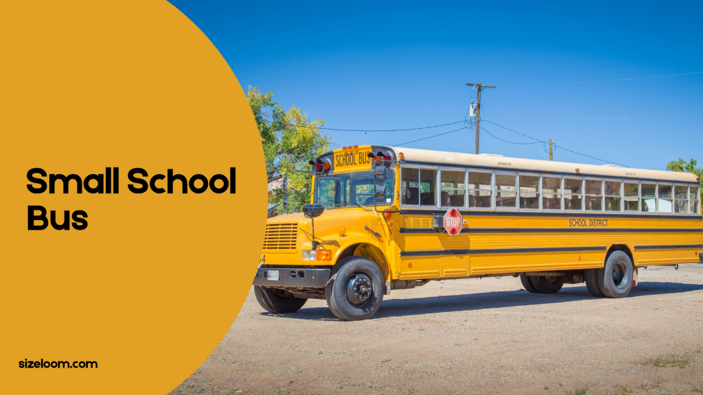 Small School Bus