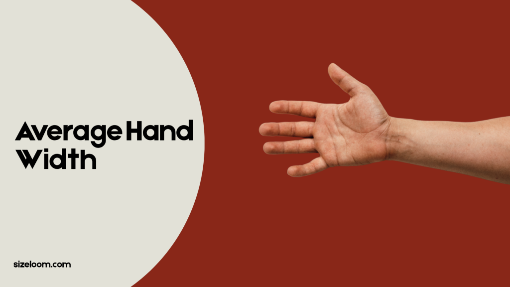 Average Hand Width