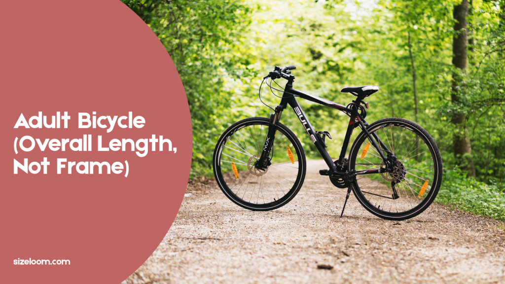 Adult Bicycle (Overall Length, Not Frame)