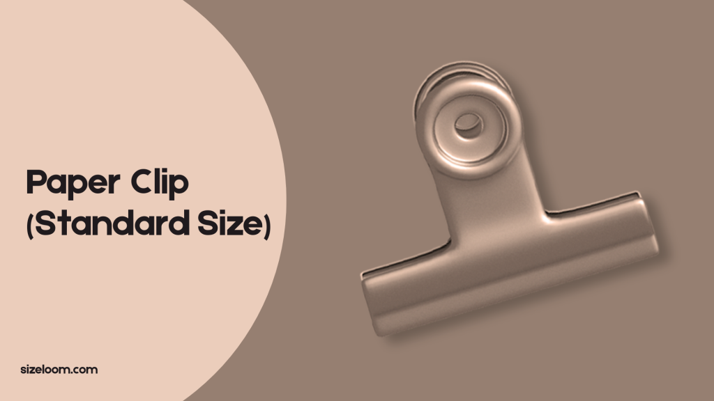 Paper Clip (Standard Size)