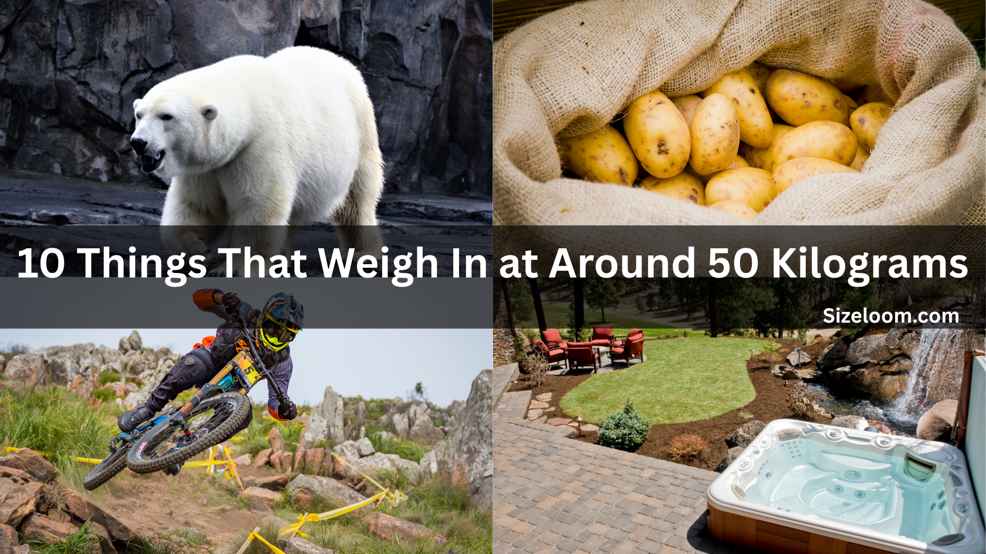 10 Things That Weigh In at Around 50 Kilograms