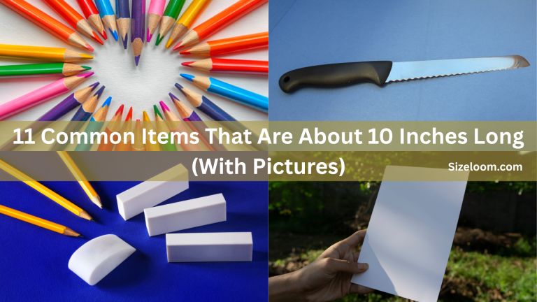 11 Common Items That Are About 10 Inches Long (With Pictures)