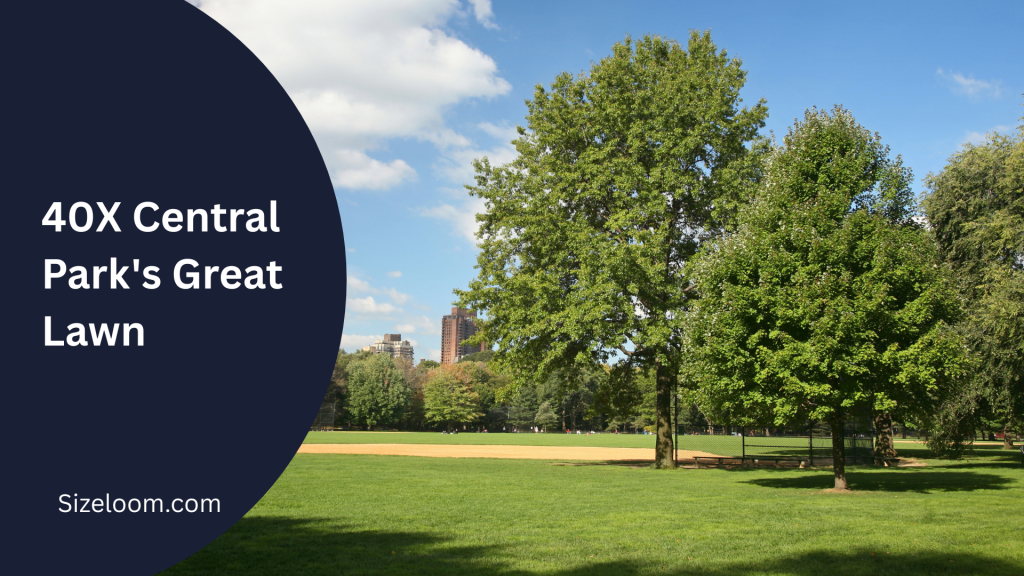 40X Central Park's Great Lawn